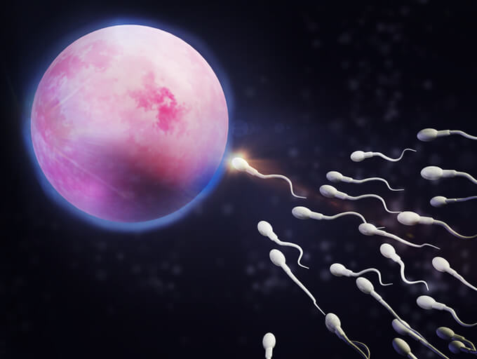 Sperm DNA Fragmentation Testing
